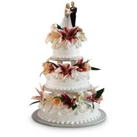 Alzate torte