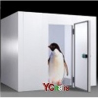 Celle refrigerate